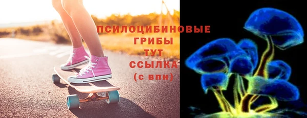 индика Краснотурьинск