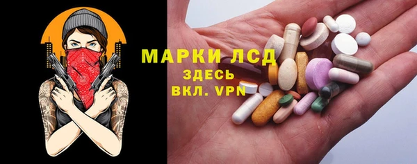 индика Краснотурьинск