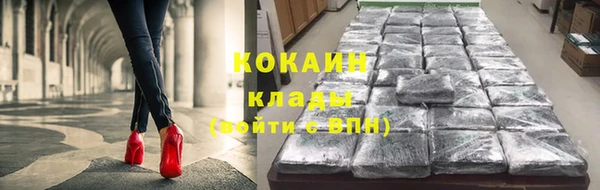 индика Краснотурьинск
