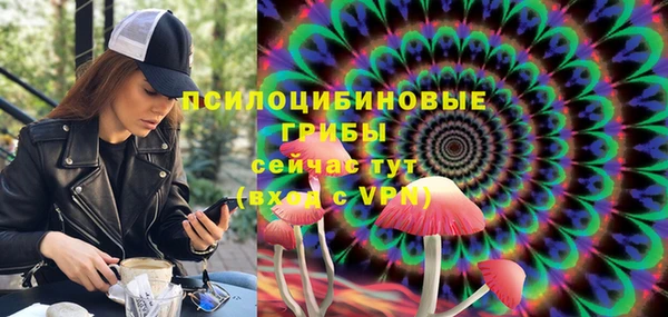 синтетический гашиш Коряжма