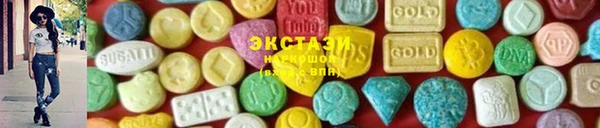 индика Краснотурьинск