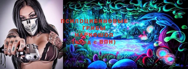 индика Краснотурьинск