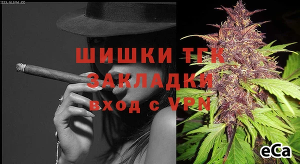 индика Краснотурьинск