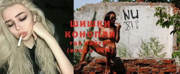 ПСИЛОЦИБИНОВЫЕ ГРИБЫ Корсаков