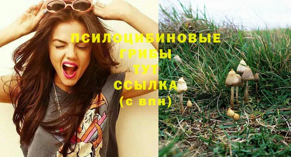 индика Краснотурьинск