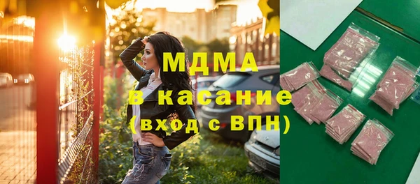 индика Краснотурьинск
