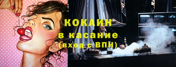 индика Краснотурьинск