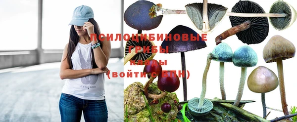 герыч Краснослободск