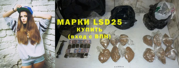 индика Краснотурьинск