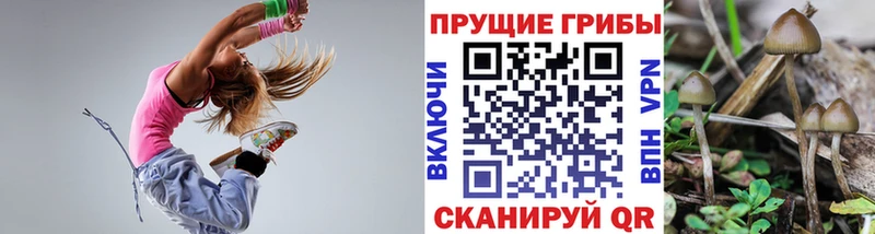 Галлюциногенные грибы MAGIC MUSHROOMS  Купить где  Гремячинск 